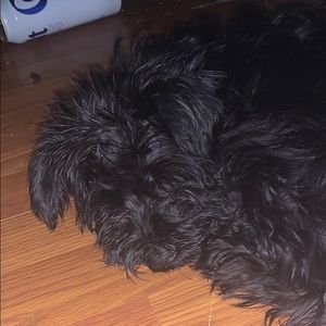 Meet your Posher, Sallie